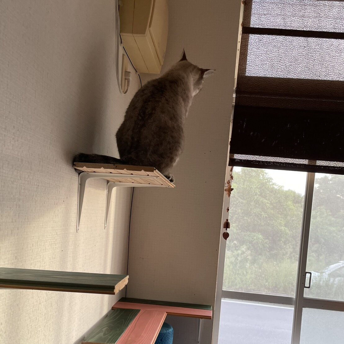 完全個室
