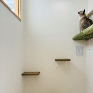 天井高キャットステップ付